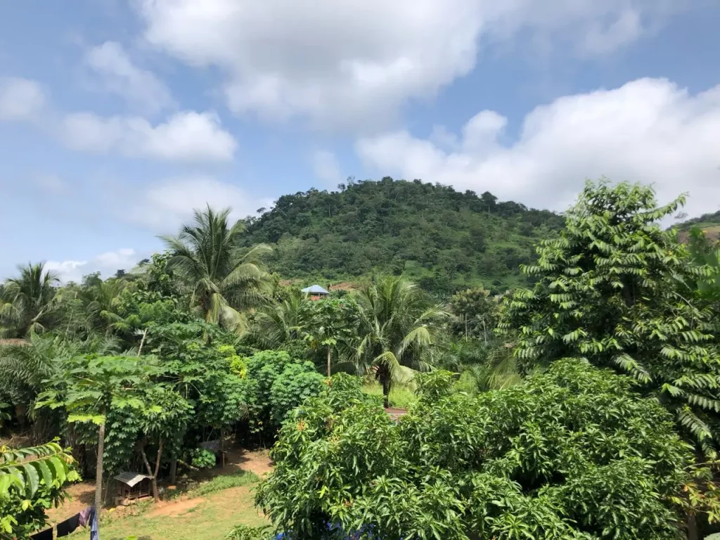 Vue depuis les chambres du haut